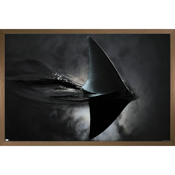 Shark - Night Fin Wall Poster, 22.375" x 34" Framed