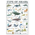 thumbnail image 1 of Shark Poster - Shark Knowledge Wall Art - Types of Shark Aluminum Metal Tin Sign - Fun World Education Science Shark Graph Painting Cute Gifts Decor for Home School Classroom Children's Room 12x8 Inch, 1 of 7