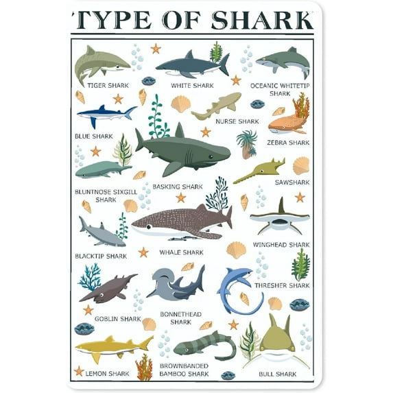 Shark Poster - Shark Knowledge Wall Art - Types of Shark Aluminum Metal Tin Sign - Fun World Education Science Shark Graph Painting Cute Gifts Decor for Home School Classroom Children's Room 12x8 Inch