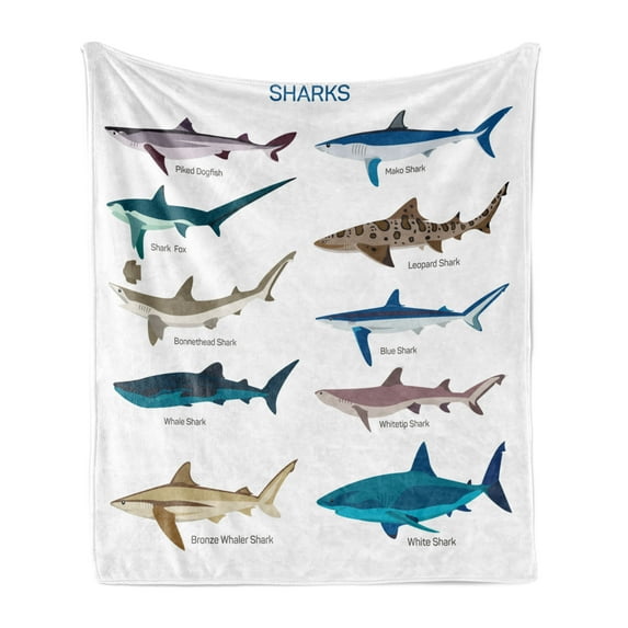 Shark Soft Flannel Fleece Throw Blanket, Types of Sharks Pattern Whaler Piked Dogfish Whlae Shark Maritime Design Nautical, Cozy Plush for Indoor and Outdoor Use, 70" x 90", Multicolor, by Ambesonne