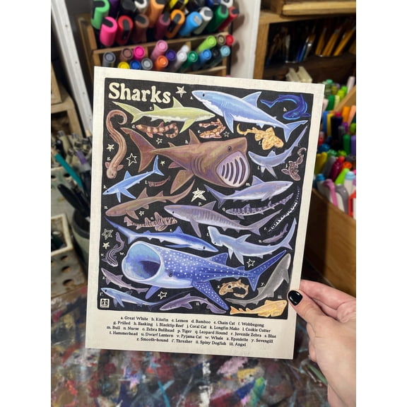 Shark Species Identification Poster, Wall Art Print, Unframed Paper Poster 8x10in