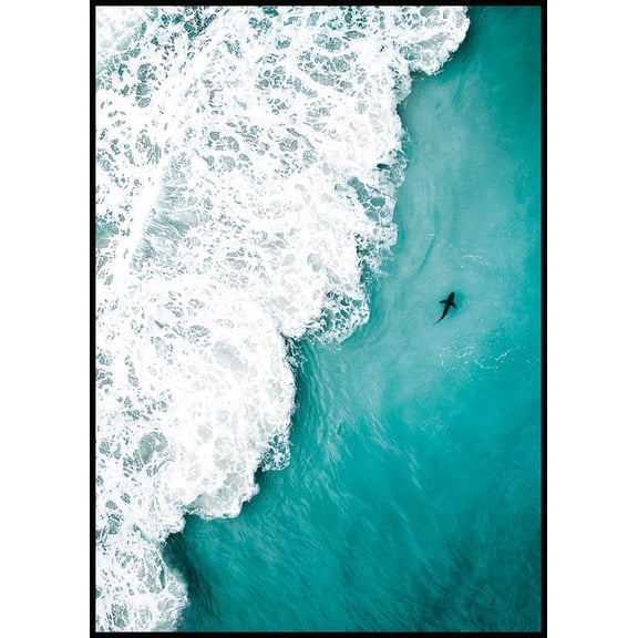 Shark Spotting Poster Wall Art, Modern Wall Decor For Living Room Bedroom, 12x18 UNFRAMED