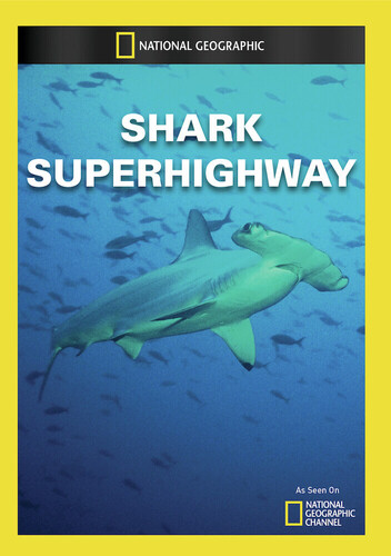 Shark Superhighway (DVD), National Geographic, Documentary - Walmart.com