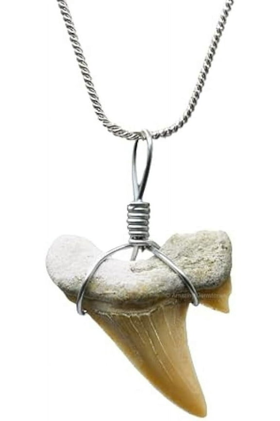 Shark Tooth Necklace - Unisex Fossil Necklace with Shark Teeth - Ideal Shark Tooth Necklace for Men