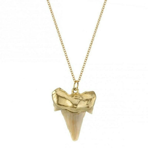 Shark Tooth Necklace