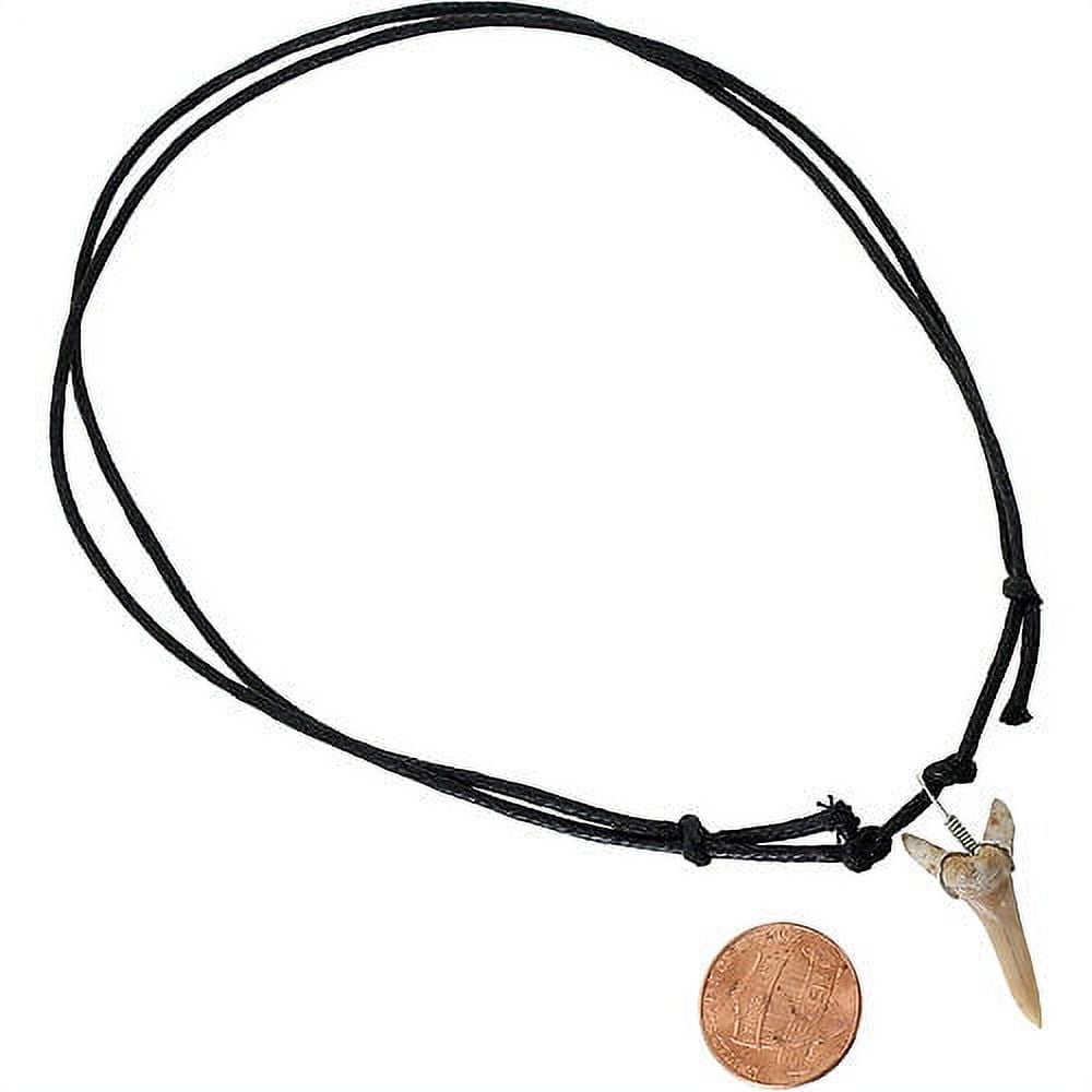 Shark Tooth Necklace