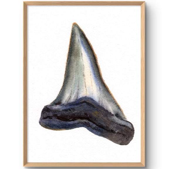 Shark Tooth Print Fossil Art Coastal Wall Decor Beach House Wall Art Shark Teeth From Original, Unframed Paper Print