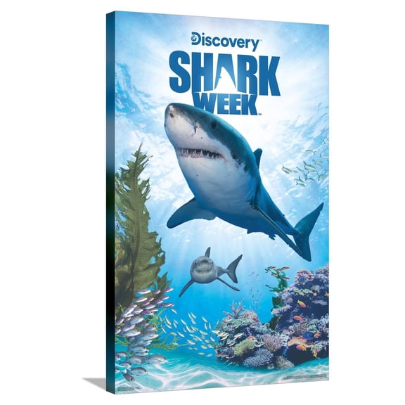 Shark Week - Shark Adventure Canvas Wall Poster, 22.375" x 34"