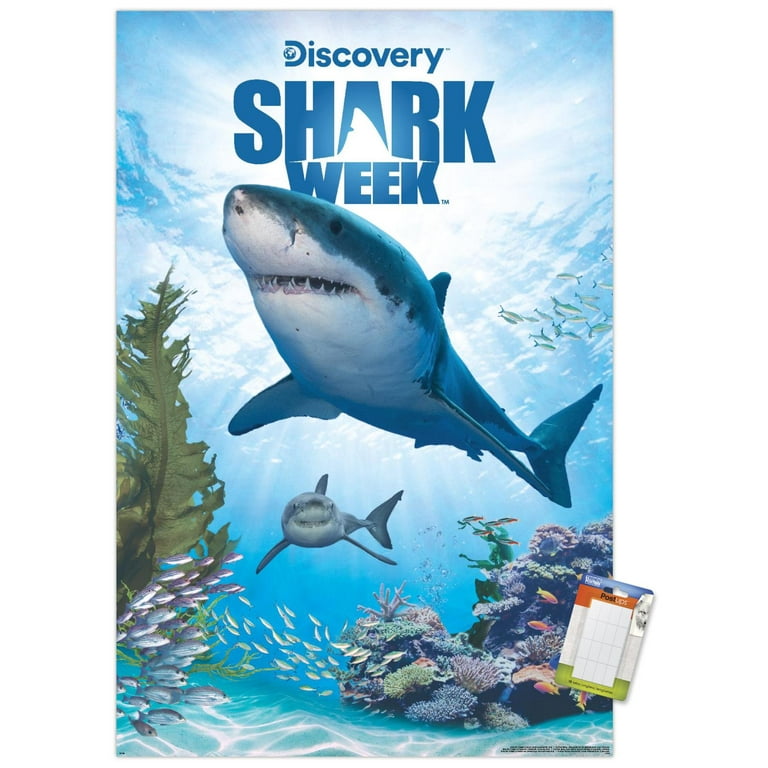 SHARK ポスター