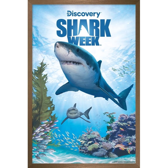 Shark Week - Shark Adventure Wall Poster, 22.375" x 34" Framed