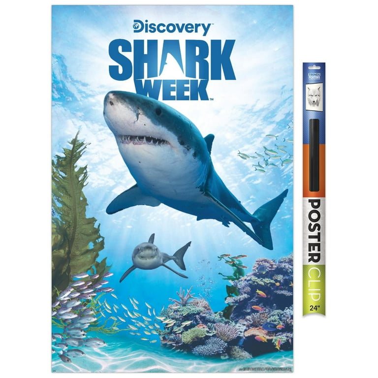 Shark Week - Shark Adventure Wall Poster, 22.375