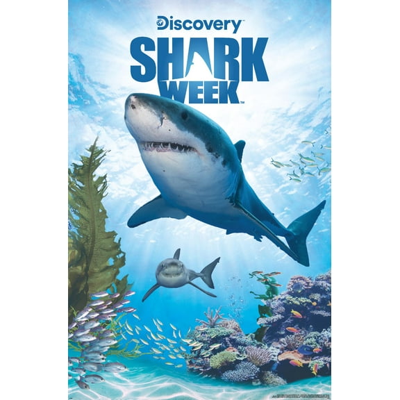 Shark Week - Shark Adventure Wall Poster, 22.375" x 34"