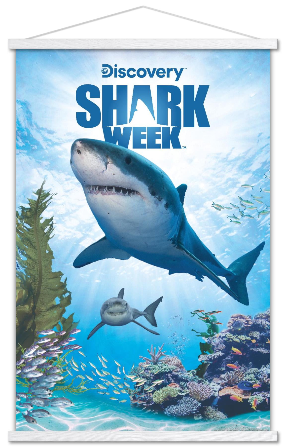 SHARK ポスター Shark Week - Shark Adventure Wall Poster, 14.725