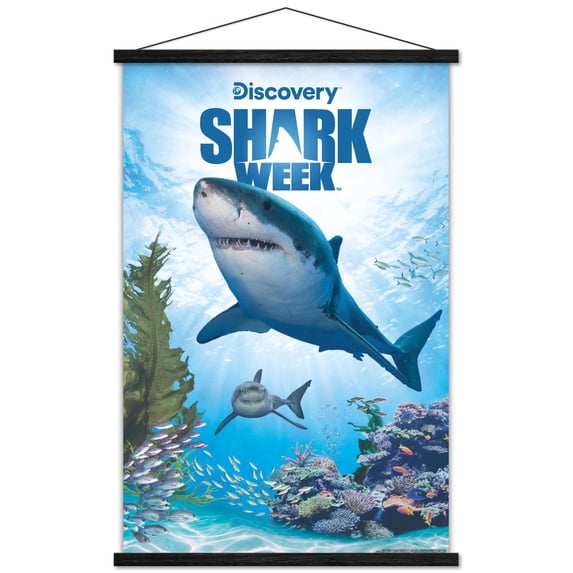 Shark Week - Shark Adventure Wall Poster with Magnetic Frame, 22.375" x 34"