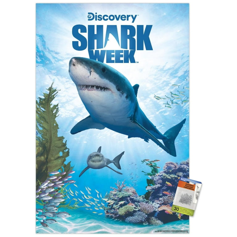 SHARK ポスター Jaws 3-D 1983 Japanese Chirashi Mini Movie Poster Monster Shark