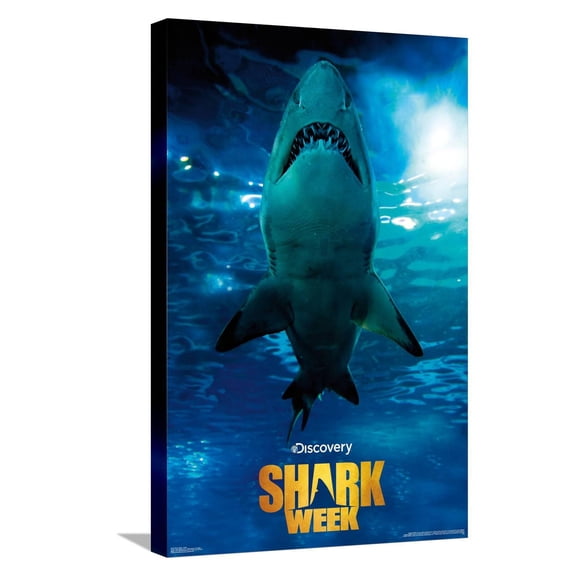 Shark Week - Smile Canvas Wall Poster, 14.725" x 22.375"