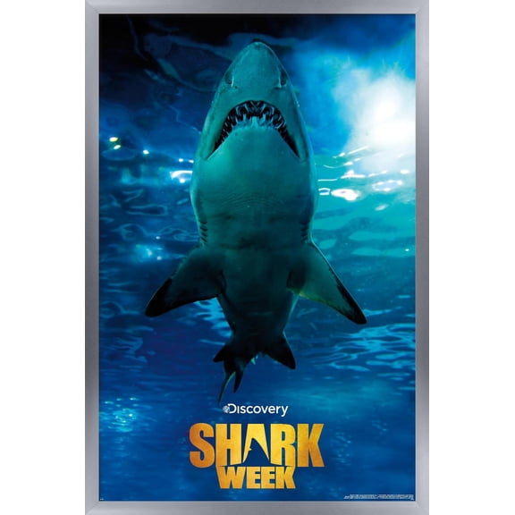 Shark Week - Smile Wall Poster, 14.725" x 22.375" Framed