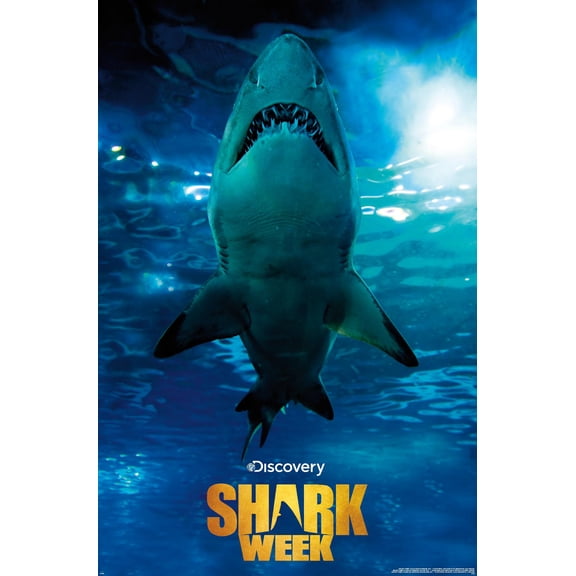 Shark Week - Smile Wall Poster, 14.725" x 22.375"
