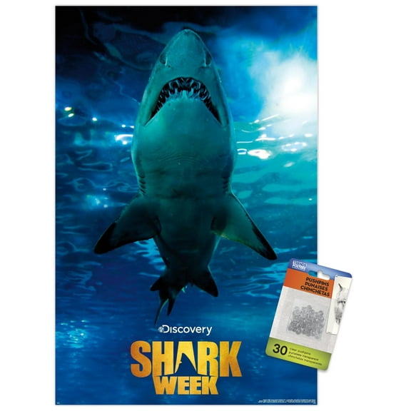 Shark Week - Smile Wall Poster with Push Pins, 14.725" x 22.375"
