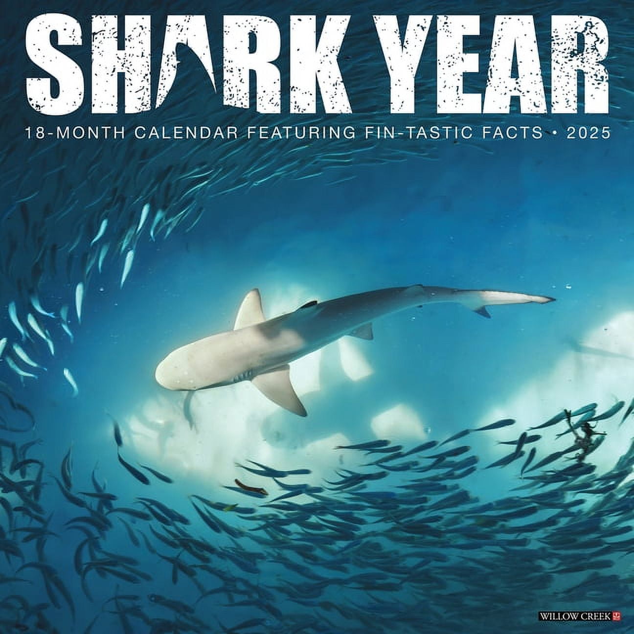 Shark Year 2025 12 X 12 Wall Calendar (Other)