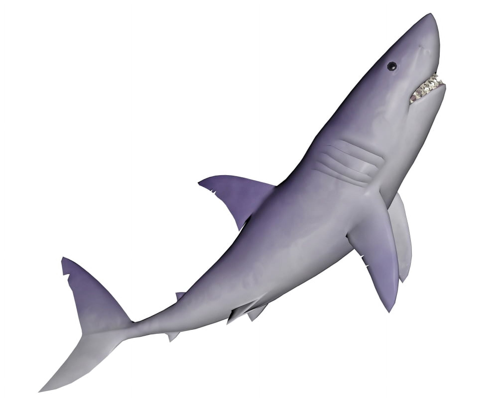 Shark illustration white background Canvas Art - Elena DuvernayStocktrek Images (16 x 13)
