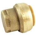 thumbnail image 1 of SharkBite 1-Inch End Cap, Push-to-Connect, PEX, Copper, CPVC, 1 of 5