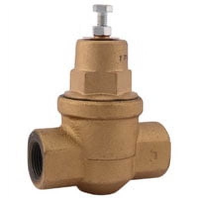 Cash Acme Pressure Relief Valve EB75 - Compact, 3/4 In, 10-70 Psi, Water, Air, Iron Body
