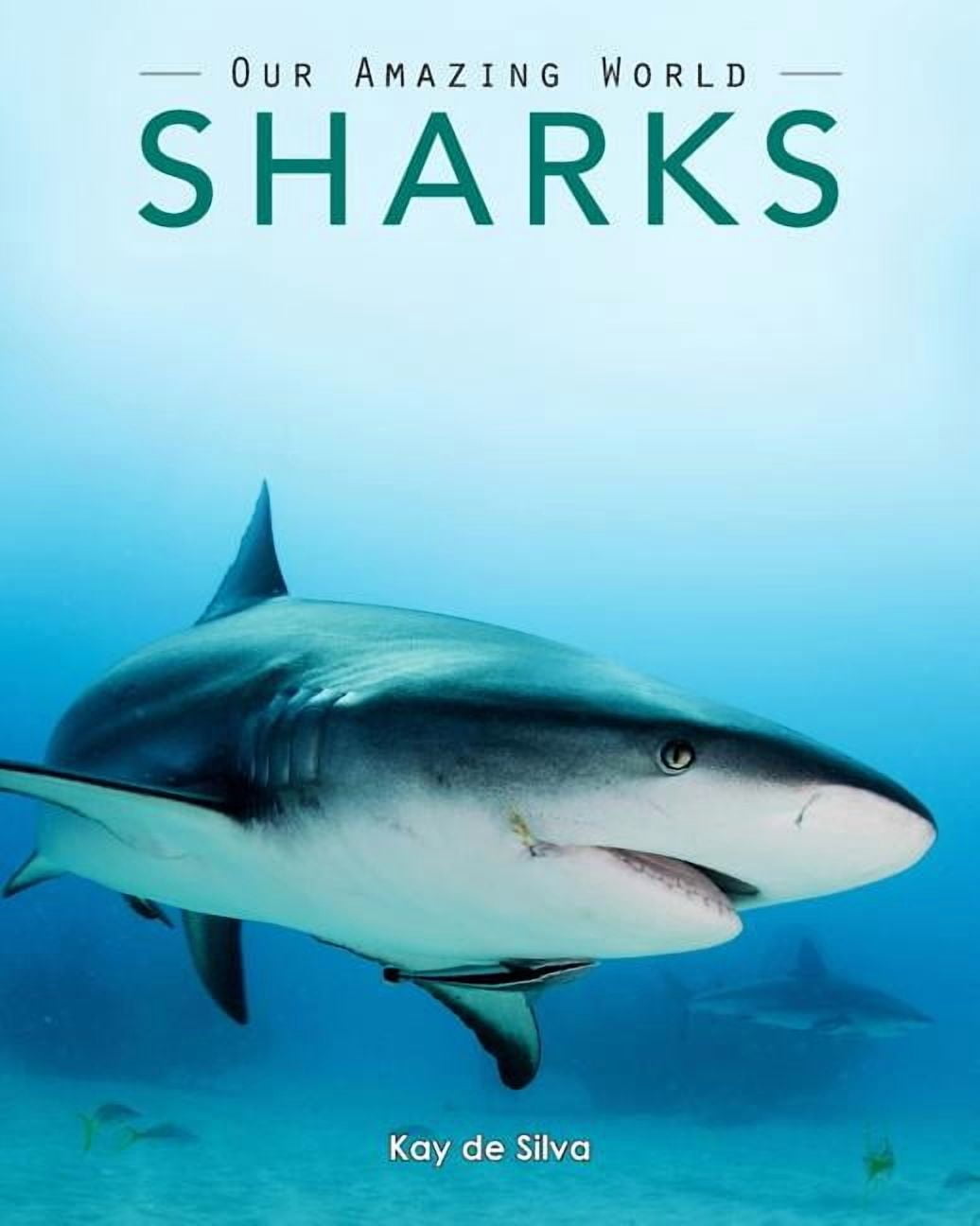 Our Amazing World Sharks: Amazing Pictures & Fun Facts on Animals in Nature, (Paperback)