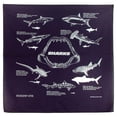 thumbnail image 1 of Sharks Bandana-Option:Sharks Bandana, 1 of 1