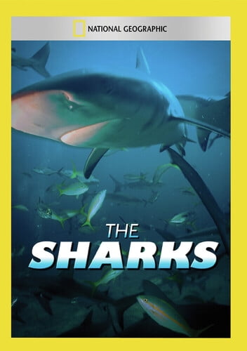 Sharks (DVD), National Geographic, Documentary - Walmart.com