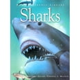 thumbnail image 1 of Pre-Owned Sharks (Hardcover) 1876778806 9781876778804, 1 of 1