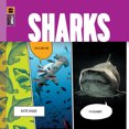 thumbnail image 1 of Sharks, (Paperback), 1 of 1