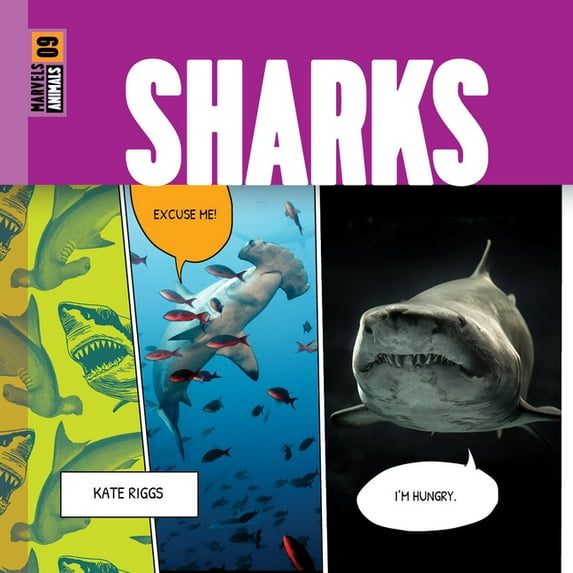 Sharks, (Paperback)