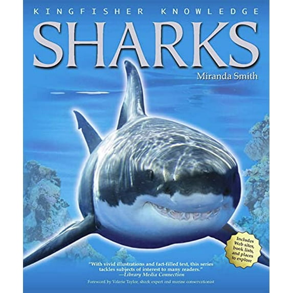Pre-Owned Sharks (Paperback) 0753464055 9780753464052