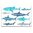 thumbnail image 1 of Sharks, Pattern, Shark Names, 1 of 1