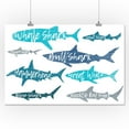 thumbnail image 1 of Sharks, Pattern, Shark Names, 1 of 3