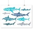 thumbnail image 1 of Sharks, Pattern, Shark Names, 1 of 2