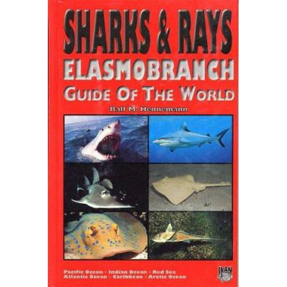 Pre-Owned Sharks & Rays: Elasmobranch Guide of the World