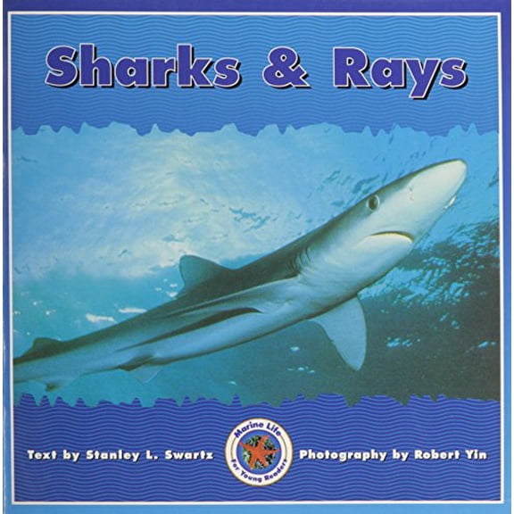 Sharks & Rays (Paperback) by Stanley L. Swartz