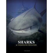 Animals in Photographs Sharks and Underwater Predators, (Hardcover)