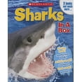 thumbnail image 1 of Sharks in a Box (Other), 1 of 1