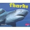thumbnail image 1 of Pre-Owned Sharks (Pebble Plus: Under the Sea) (Paperback) 0736851143 9780736851145, 1 of 1