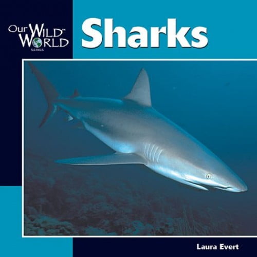 Pre-Owned Sharks -OS (Paperback) 1559717793 9781559717793