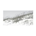 thumbnail image 1 of Sharon Chandler 'Lush Dunes I' Canvas Art, 1 of 3