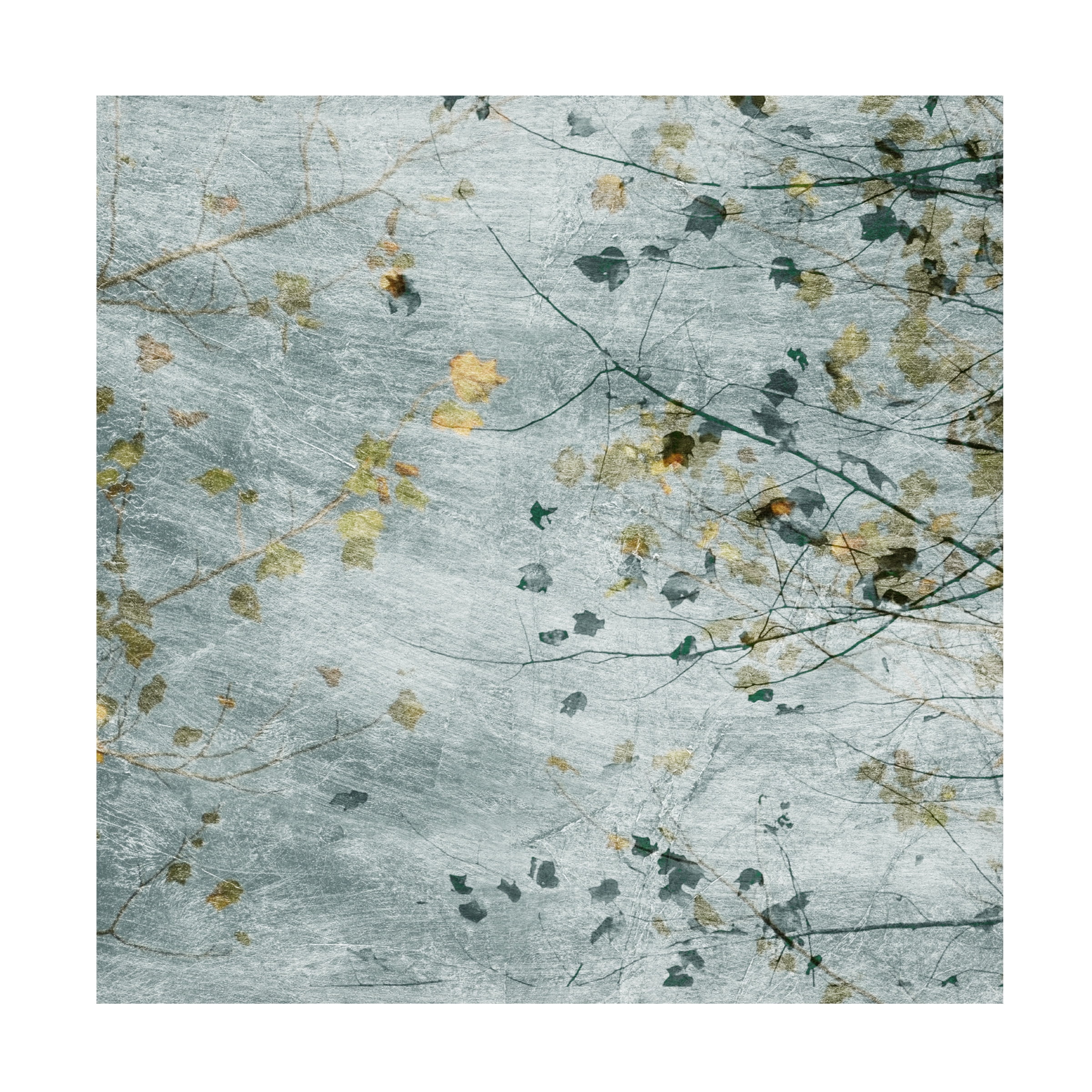 Sharon Chandler 'Seasonal Transition III' Canvas Art