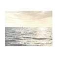 thumbnail image 1 of Sharon Chandler 'Uncharted I' Canvas Art, 1 of 3