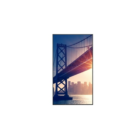 Sharp 43" Ultra High Definition Commercial Display PNME432
