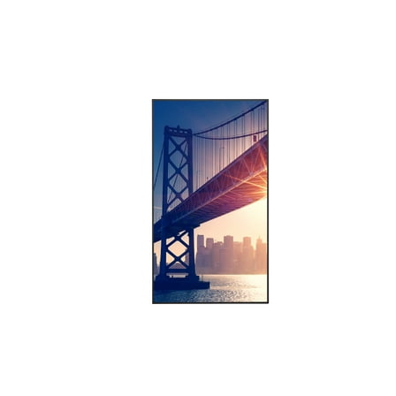 Sharp 43" Ultra High Definition Commercial Display PNME432