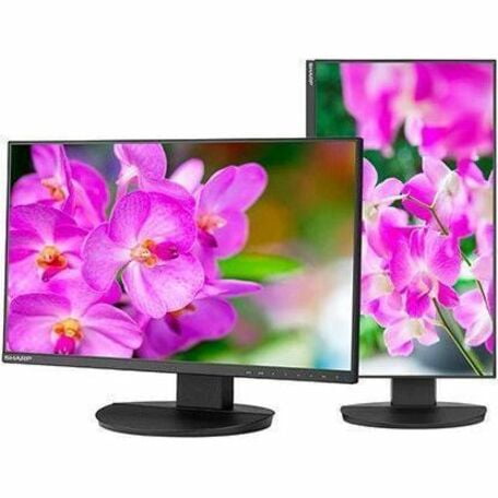 Sharp MultiSync 24" Class Full HD LED Monitor - 16:9 - Black - 23.8" Viewable - In-plane Switching (IPS) Technology - LED Backlight - 1920 x 1080 - 16.7 Million Colors - 250 Nit - 6 ms - 75 Hz Refr...