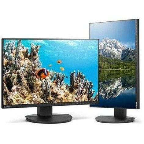Sharp MultiSync DD-EA242W 24" Class WUXGA LED Monitor - 16:10 - Black - 24" Viewable - In-plane Switching (IPS) Technology - LED Backlight - 1920 x 1200 - 16.7 Million Colors - 300 Nit - 6 ms - 62 ...